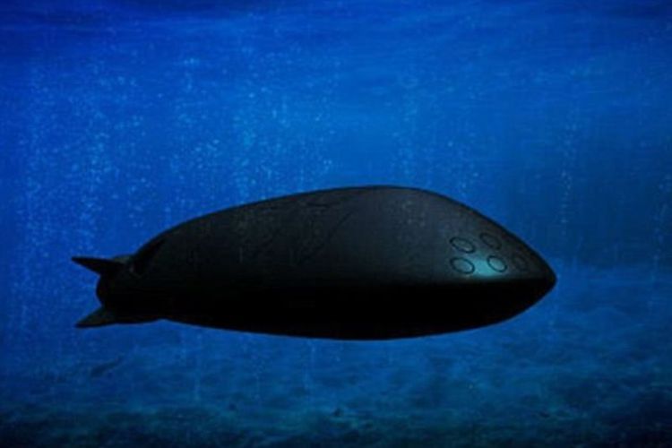 Kemungkinan seperti ini bentuk drone bawah air Rusia yang bisa mengangkut hulu ledak nuklir berkekuatan 100 megaton.