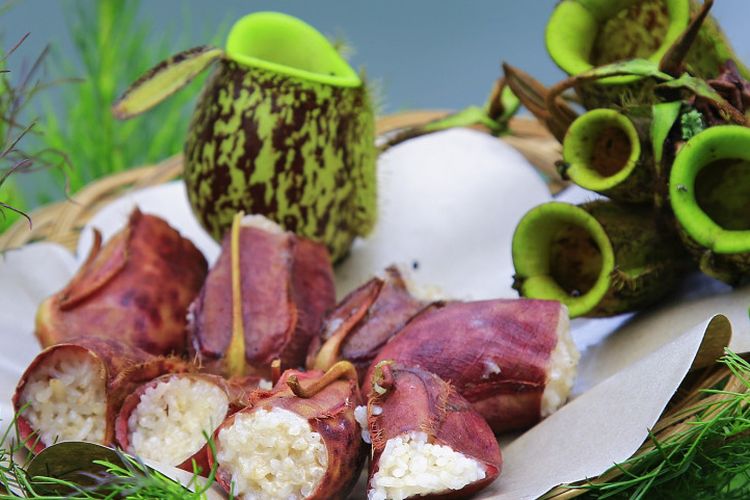 Cicipi Gurihnya Lemang Kantong Semar Khas Kerinci