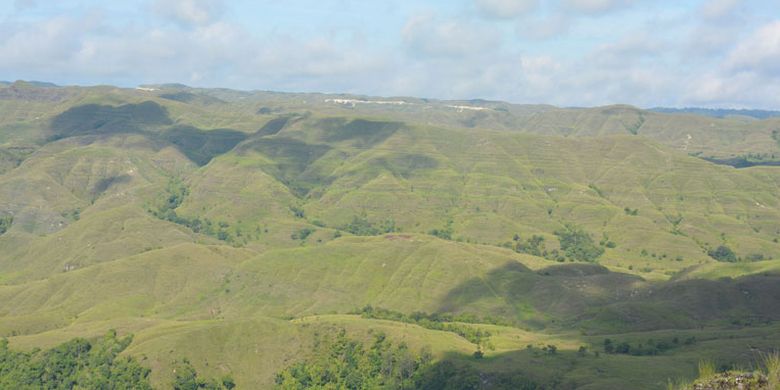 Hamparan padang savana di Kabupaten Sumba Timur, Nusa Tenggara Timur yang berbukit-bukit memberikan keunikan tersendiri mengenai keindahan alam di Pulau Sumba, Sabtu (25/3/2017). Padang savana ini menjadi tempat berwisata dan berselfie bagi wisatawan asing dan Nusantara yang berkunjung ke Pulau Sumba.