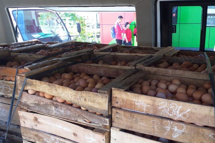 Badan Ketahanan Pangan Kementerian Pertanian melepas distribusi telur murah di Toko Tani Indonesia Center, Jakarta, Jumat (28/12/2018).