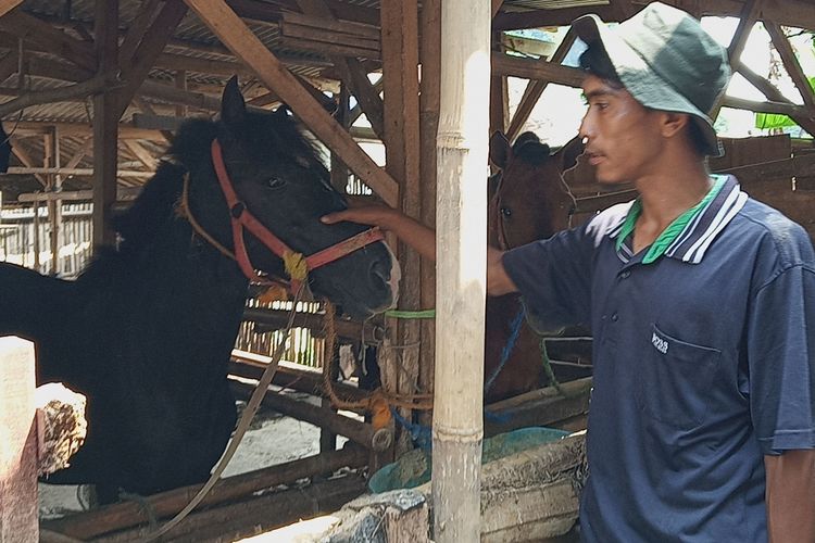 Pemilik kuda delman, Nurdiansyah (35) sedang membersihkan kudanya, di Jalan Kesadaran, Kampung Cikempong, Kelurahan Pakansari, Kecamatan Cibinong, Jumat (14/6/2019)