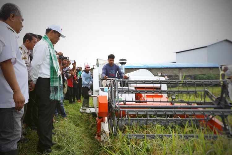 Menteri Pertanian Andi Amran Sulaiman saat melihat panen raya di Kabupaten Konawe, Sulawesi Tenggara