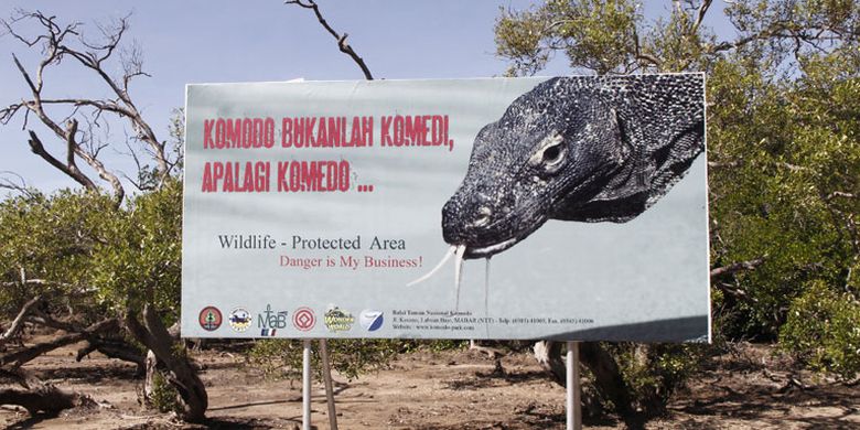 Taman Nasional Komodo di Resort Loh Buaya, Pulau Rinca, Kabupaten Manggarai Barat, Nusa Tenggara Timur, Sabtu (10/5/2014).