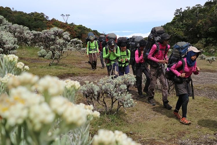 Calon anggota Mapala UI berlatih ilmu mendaki gunung di Lembah Mandalawangi Gunung Pangrango, Jawa Barat.