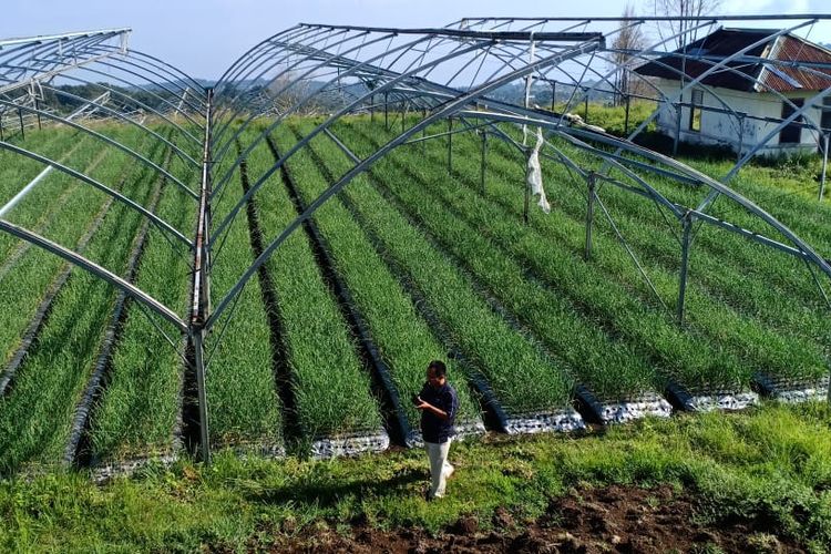 Pembangunan pertanian Indonesia tidak lagi bersifat klasik, tetapi sudah mengarah ke sistem pertanian modern dan penggunaan teknologi 4.0.