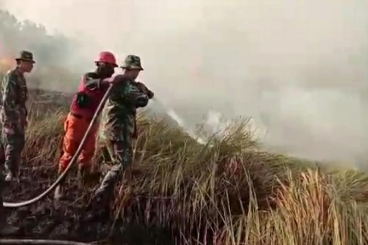 Petugas TNI dan Manggala Agni berjibaku memadamkan api karhutla di Kelurahan Tirta Siak, Kecamatan Payung Sekaki, Pekanbaru, Riau, Sabtu (20/7/2019).