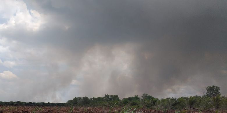 Kebakaran hutan dan lahan di Kelurahan Teluk Makmur, Kecamatan Medang Kampai, Dumai, Riau, mengeluarkan asap hitam yang membumbung tinggi ke udara, Rabu (27/3/2019).