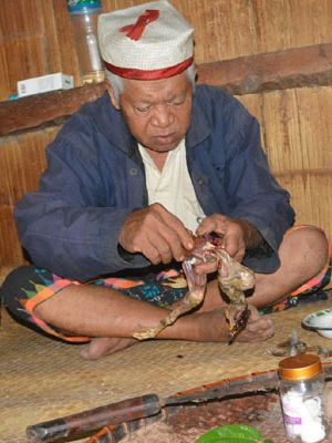 Tua adat suku Nggai, Kampung Munde, Desa Komba, Kecamatan Kota Komba, Manggarai Timur, Flores, Nusa Tenggara Timur, Selasa (3/4/2018), melaksanakan ritual Peting Ghan Nalun Weru.