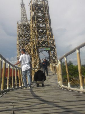 Menara dari bambu setinggi 22 meter di tengah sungai yang dalam salah satu yang paling disukai pengunjung Mangrove Jembatan Api-api, Kulon Progo, DI Yogyakarta. Foto berlatar menara kembar ini, dari jauh maupun dekat, tetap menarik dan bagus. Jangan lewatkan foto di bagian ini.