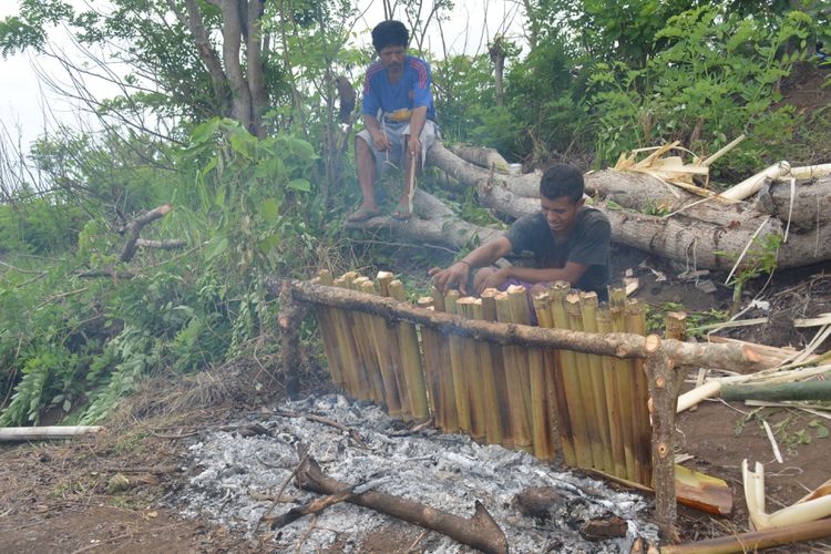Sejumlah warga sedang melaksanakan tradisi tapa Kolo atau bakar nasi bambu saat ritual adat Weri Mata Nii di lahan kering Mondo, Desa Gunung, Kec. Kota Komba, Kab. Manggarai Timur, Flores, NTT, Sabtu (24/11/2018).