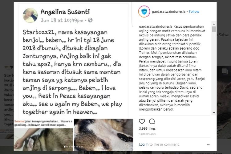 Bidik layar Instagram @gardasatwaindonesia mengenai seorang anjing yang dibunuh.