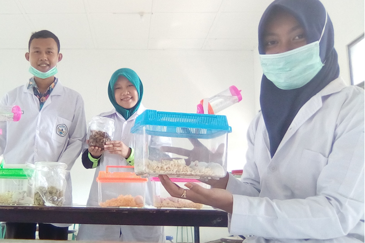 MahasiswaUntidar Kota Magelang meneliti getah pohon pisang dan pare yang ternyata mengandung zat penyembuh luka. Mereka memformulasikan getah tersebut dalam bentuk spray Gapipa.