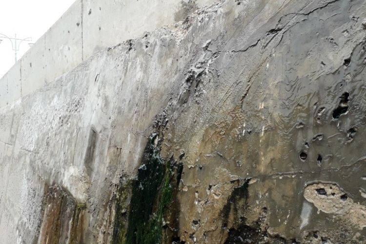 Tembok tanggul pengaman laut di Muara Baru tampak basah dan berlumut akibat bocornya tanggul, Selasa (11/12/2018).