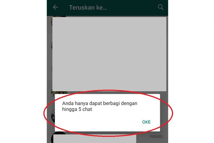 Fitur meneruskan pesan (forward) yang dibatasi maksimal lima kontak dalam satu kali kirim pesan.