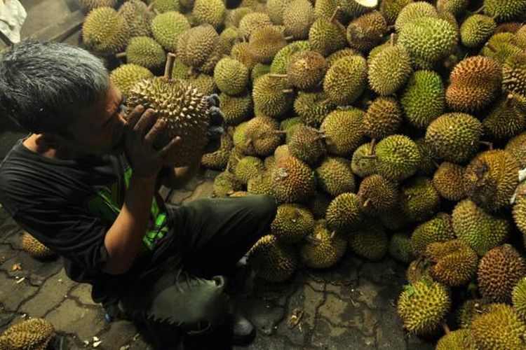 Seorang pekerja memilih durian untuk pelanggan di kedai Ucok Durian, Medan, Minggu (9/12/2012). Kedai Ucok Durian menjadi tujuan kuliner para pelancong saat ke Medan.