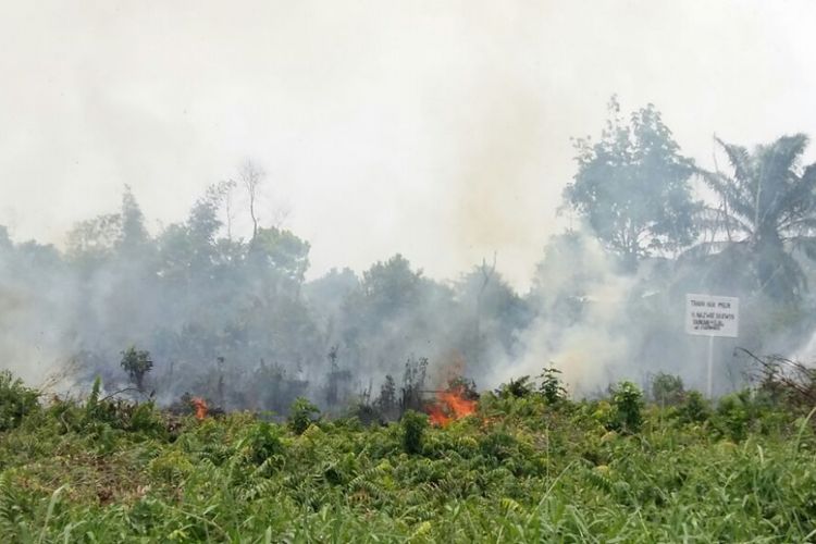 Kebakaran lahan sekitar dua hektar di kawasan padat penduduk di Jalan Gulama, Kecamatan Marpoyan Damai, Pekanbaru, Riau, Sabtu (15/9/2018).