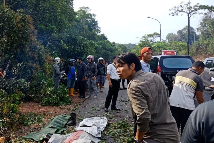 Bostoni Edi (39), warga Baloi Persero Lubuk Baja, Batam, Kepulauan Riau seketika saja tewas, setelah dirinya tertimpa pohon dibilangan jalan Sei Harapan-Batuaji, Rabu (8/5/2019).