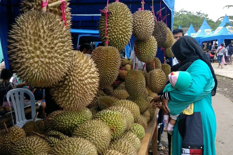 Pengunjung dari berbagai daerah mendatangi Festival Durian di Kampung Durian, Desa Sukowono, Kecamatan Pujer, Kabupaten Bondowoso, Jawa Timur, Minggu (24/3/2019).