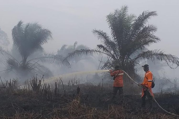 Tim Manggala Agni Daops Siak memadamkan api kebakaran lahan milik perusahaan di Desa Sri Gemilang, Kecamatan Koto Gasib, Kabupaten Siak, Riau, Kamis (25/7/2019).