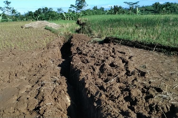 Retakan tanah yang terus membesar dan membelah persawahan akibat bencana tanah bergerak di Kamoung Gunungbatu, Desa Kertaangsana, Nyalindung, Sukabumi, Jawa Barat, Sabtu (4/5/2019).