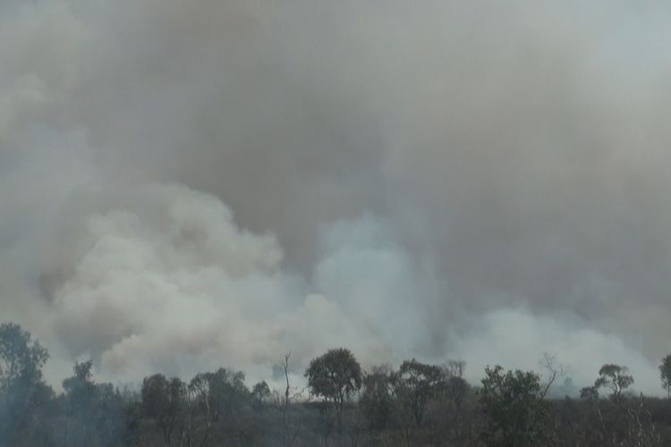 Asap tebal sisa dari kebakaran lahan di Ogan Ilir hari ini terlihat membumbung tinggi ke udara. Sedikitnya 5 hektar lahan yang terbakar hari ini sejak pukul 10.00 WIB