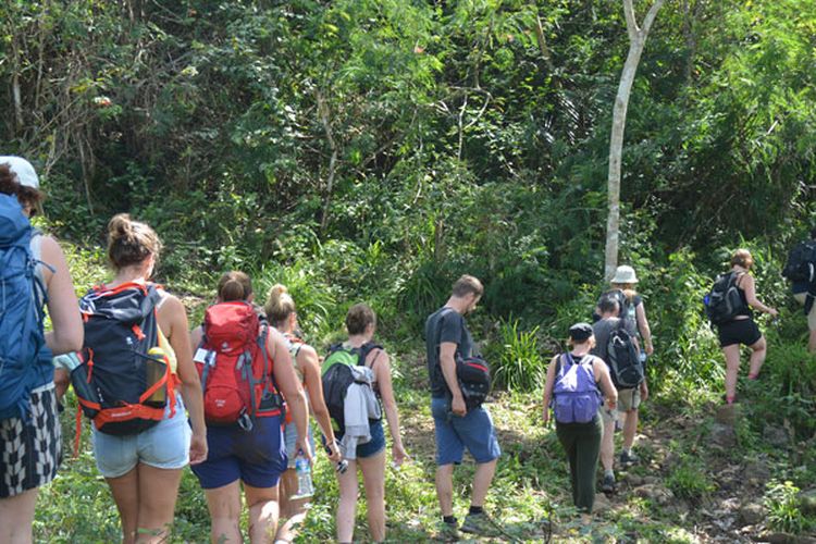 Turis melintasi kawasan hutan Mbeling dengan trekking. Turis sangat terkesan dengan keaslian alam dan hutan di kawasan Mbeling, Kecamatan Borong, Manggarai Timur,Flores, NTT, Senin (14/8/2017). 