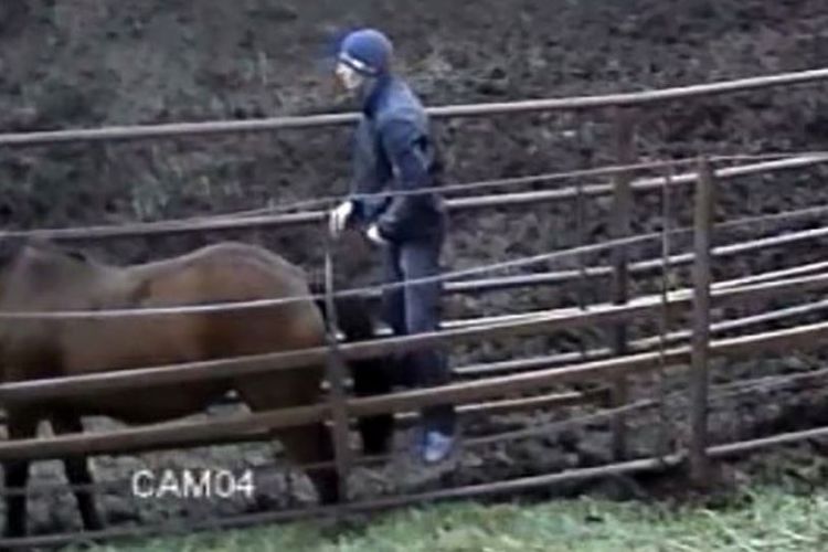 Foto ini diambil dari rekaman CCTV yang mengabadikan aksi seorang pria yang menyelinap ke sebuah kandang kuda di sebuah peternakan di kota Ufa, Rusia.