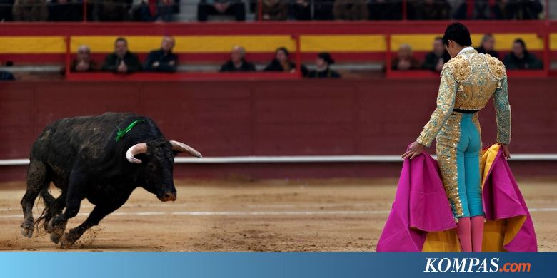 PBB Larang Anak Kecil Tonton Atraksi Matador