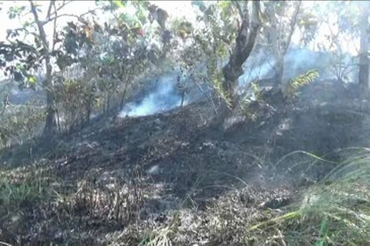 Pulau Battoa di kecamatan Binuang Polewali mandar sulawesi barat terbakar sejak Senin (24/7) kemarin. Api telah membakar sekitar 15 hektar hutan dan lahan gambut, sementara kobaran api mulai mencemaskan warga lantaran terus mendekati kawasan pemukiman warga.