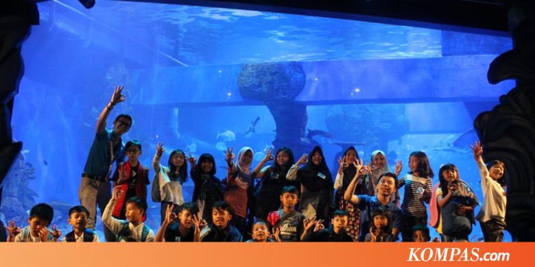 Yuk, Ajak Anak Menginap dan Belajar di Jakarta Aquarium
