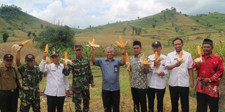 Direktur Irigasi Ditjen PSP Rahmanto, Kabid Tanaman Pangan Dispertanian Banyuwangi Ilham Juanda, Anggota DPRD Kabupaten Banyuwangi Ahmad Munif Syafaat, dan Muspika Kecamatan Siliragung, menghadiri acara panen raya jagung di Dusun Sumberurip, Desa Barurejo, Kecamatan Siliragung, Banyuwangi, Rabu (27/2/19)