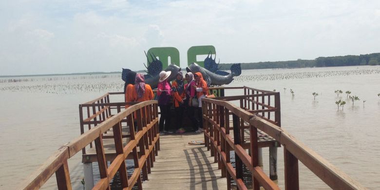 Wisata susur mangrove di Desa Kaliwingi, Kecamatan Brebes, Kabupaten Brebes, Jawa Tengah.