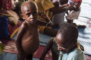 Biaya Pembangunan Infrastruktur di Asmat Dua Kali Lebih Mahal