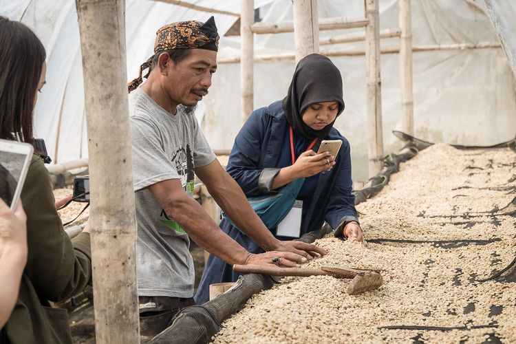 Pemisahan kulit tanduk