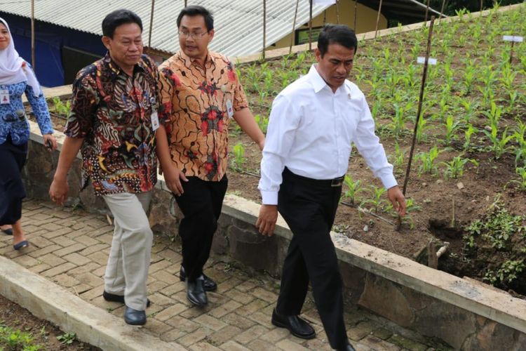 Menteri Pertanian Andi Amran Sulaiman saat melakukan kunjungan kerja di Batu, Malang, jawa Timur, Selasa (17/7/2018).