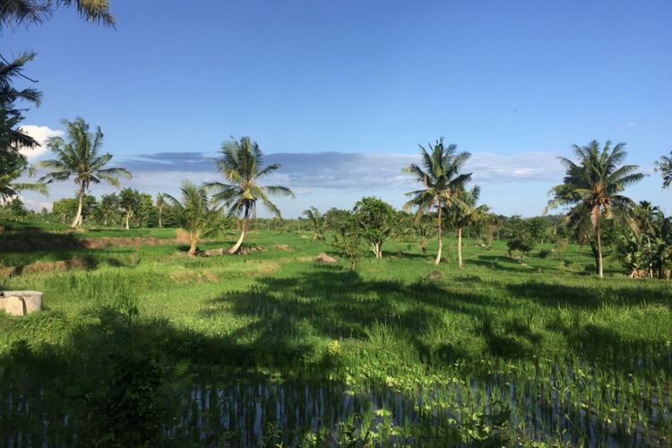 Desa Setanggor di Kecamatan Praya Barat, Lombok Tengah, Nusa Tenggara Barat.