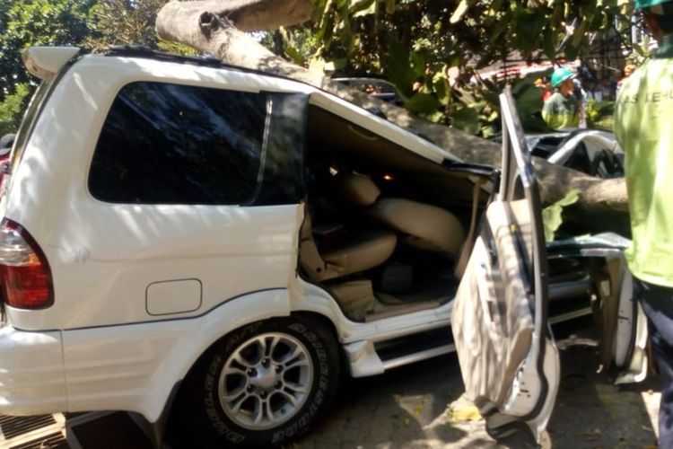 Sebuah mobil tertimpa pohon saat sedang terparkir di halaman Universitas Pancasila, Rabu (21/8/2019).