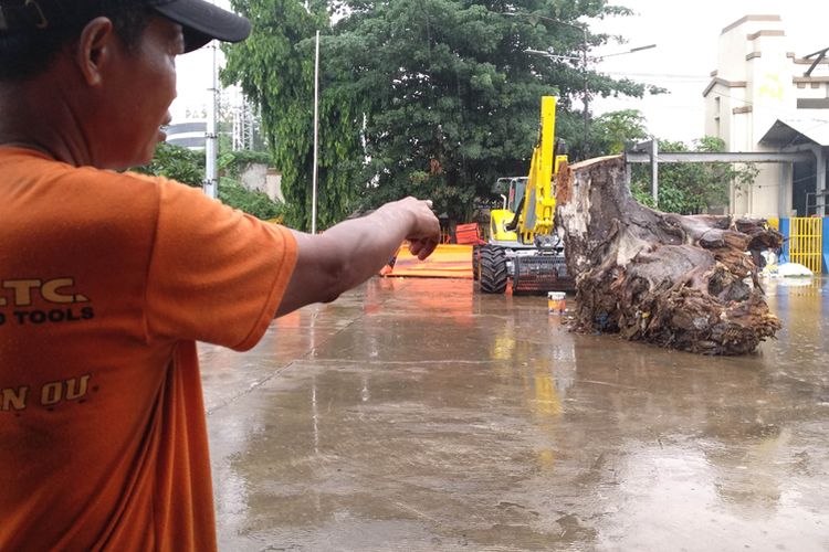 Djumari menunjukan potongan pohon yang diklaim jadi sampah terbesar di Pintu Air Manggarai