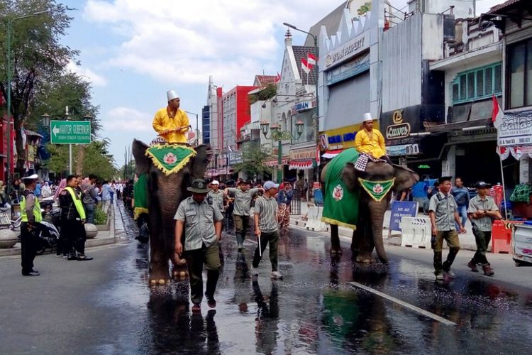 Dua ekor Gajah dari Kebun Binatang Gembiraloka saat melintas di Jalan Malioboro mengawal Gunungan yang dibawa ke Kantor Kepatihan.