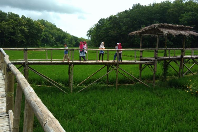 Pengunjung melintas Jembatan Jelajah Sawah Pertanian Bawongan, Dusun Sukorame, Desa Mangunan, Kecamatan Dlingo, Bantul, Yogyakarta