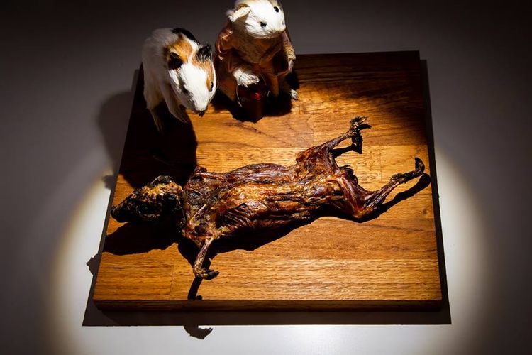 Sajian tikus belanda panggang di Disgusting Food Museum. Museum ini menghidangkan 80 menu tak lazim dari berbagai belahan dunia.