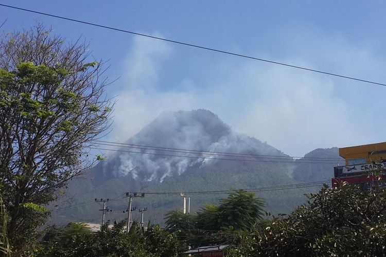 Situasi kebakaran di Gunung Panderman Kota Batu, Jawa Timur, Senin (22/7/2019)