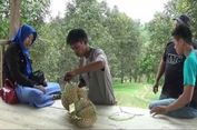 Di Polewali Mandar, Wisatawan Bisa Santap Durian Langsung di Kebunnya