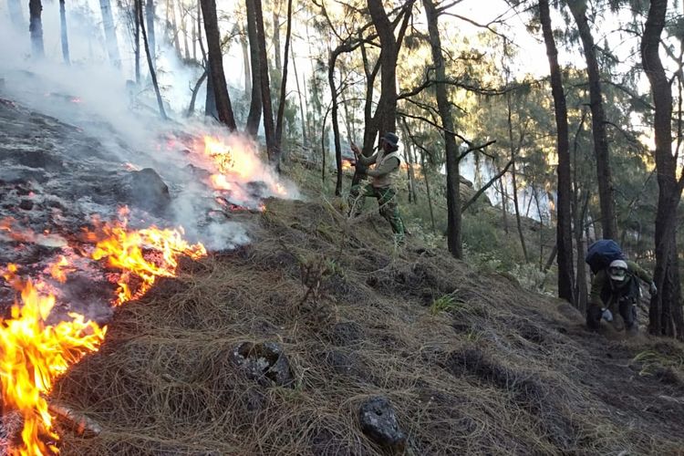 Petugas mematikan titik api di puncak Gunung Arjuno