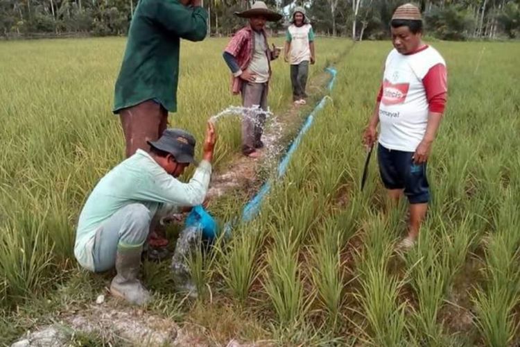 Petani memasang pipa yang terhubung ke sungai untuk mengairi area persawahan di Desa Munje Tujoh, Kecamatan Pirak Timu, Kabupaten Aceh Utara, Kamis (15/2/2018).