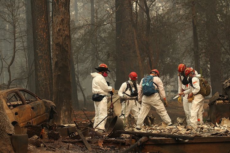 Petugas tim penyelamat menyusuri wilayah yang terdampak musibah kebakaran di kota Paradise, California utara, Kamis (15/11/2018), untuk mencari sisa-sisa jenazah.