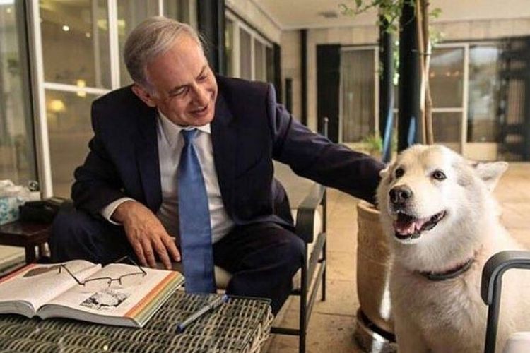 Perdana Menteri Israel Benjamin Netanyahu bersama anjing Alaska peliharaan keluarganya, Kaia, yang kini telah mati.