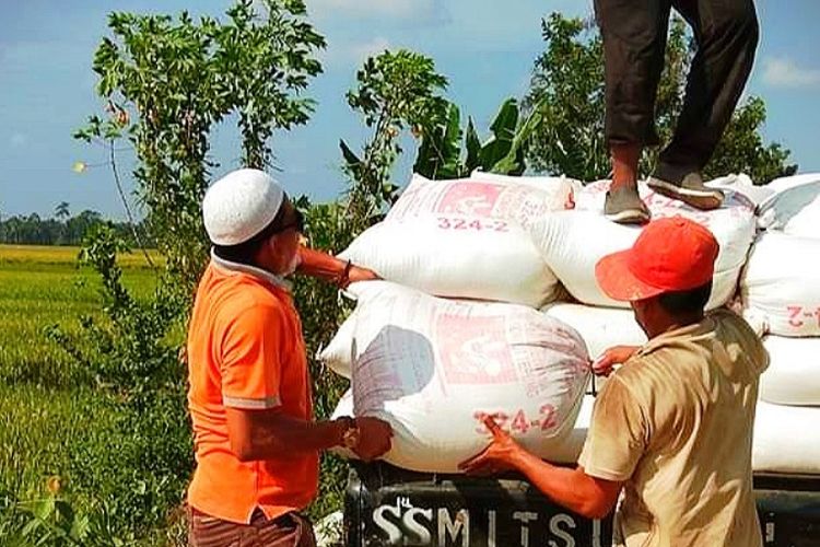 Petani mengangkut padi ke mobil pengangkutan di Desa Samakurok, Kecamatan Tanah Jambo Aye, Kabupaten Aceh Utara, Minggu (24/3/2019)