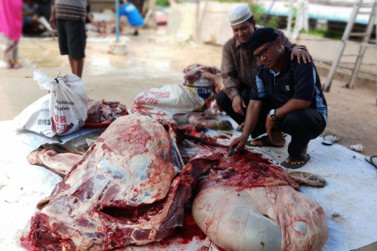 Panitia kurban Masjid Al-Kautsar Tiban Sekupang Batam memastikan temuan cacing di hati salah satu sapi yang disembelih mereka sebagai hewan kurban