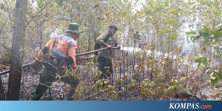 Dibantu "Water Bombing", Petugas Tetap Kesulitan Padamkan Karhutla di Dumai